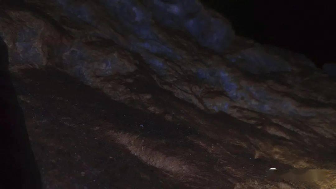 僵尸粉碎机