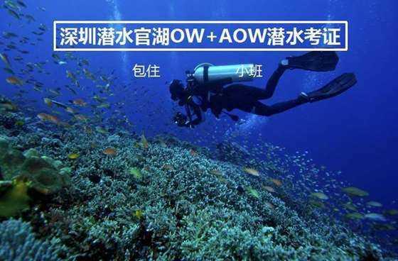 丽水市缙云县念好“早、快、暖、行”四字诀,全力畅通民生“暖心路”