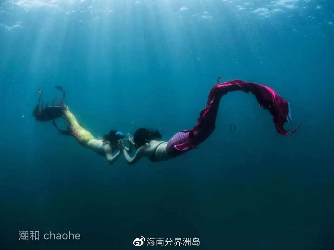 探探猫拼图