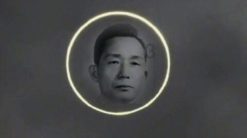 卡通考拉救援