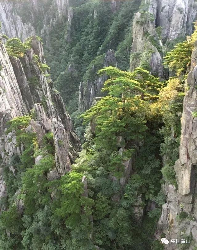 逃离别墅度假村