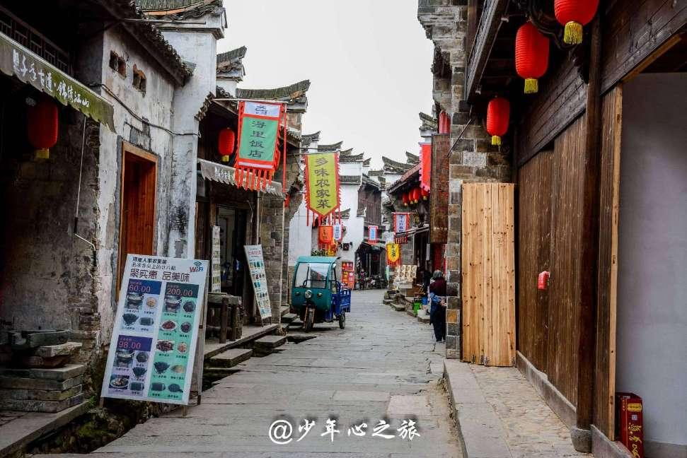 奔跑的兔子