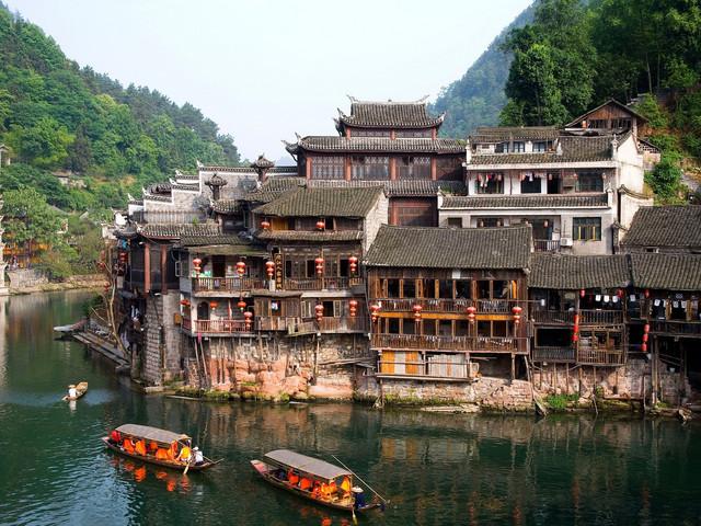 动物帮帮忙保卫家园