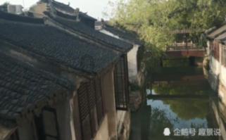 菠菜对身体有什么好处？，你的智慧问答之选